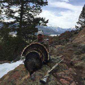 Meet your Posher, Samuel